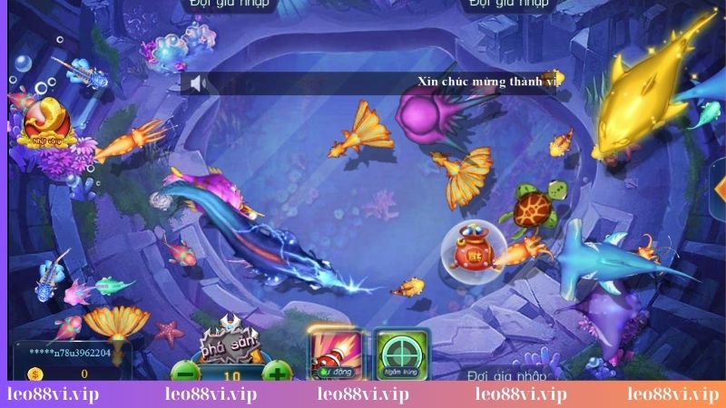 Chiến thuật săn cá kim cương cực đỉnh