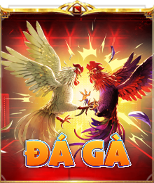 Đá gà Leo88